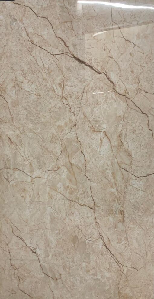 TileCode: BDM-2798  Floor and Wall Tile (600x1200mm)